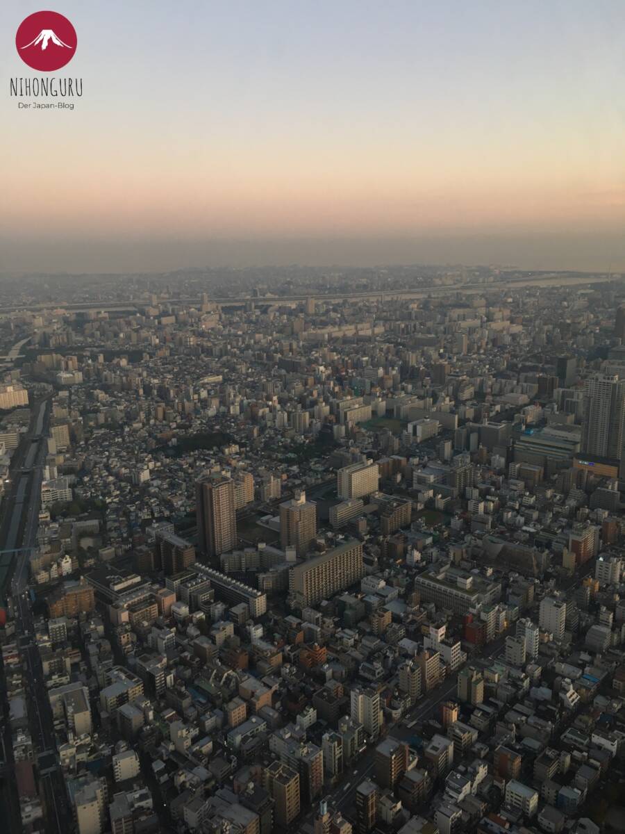 Aussicht Skytree Tokyo Tokio Häuser
